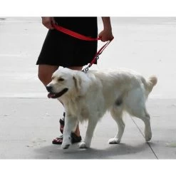 KONG Adjustable Leash -Haustierbedarfs Geschäft kong adjustable leash zwart 176941 0500 none