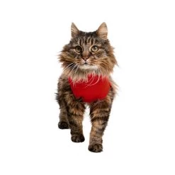 Medical Pet Shirt Katze -Haustierbedarfs Geschäft medical pet shirt kat 167404 0500 none