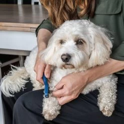 Mikki Doodle De-Matter -Haustierbedarfs Geschäft mikki doodle de matter 194483 0500 none