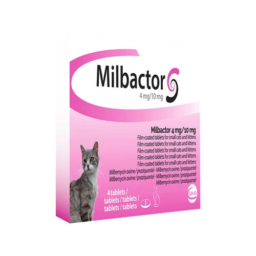Milbactor Katze 2 Milbactor Katze – Bild 2