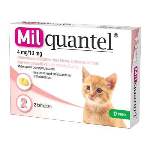 Milquantel Katze 2 Milquantel Katze – Bild 2