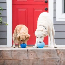 Planet Dog Orbee-Tuff Lil’ Snoop Toy 19 Planet Dog Orbee-Tuff Lil’ Snoop Toy -Haustierbedarfs Geschäft orbee tuff lil snoop toy 203408 0500 none