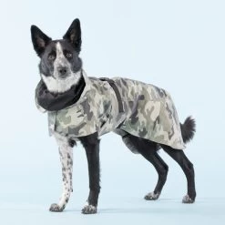 PAIKKA Recovery Raincoat Camo -Haustierbedarfs Geschäft paikka recovery raincoat camo 217730 0500 none