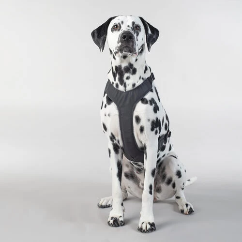 PAIKKA Visibility Harness 6 PAIKKA Visibility Harness – Bild 6