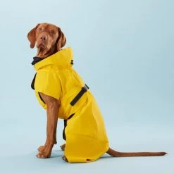PAIKKA Visibility Raincoat Lite Yellow -Haustierbedarfs Geschäft paikka visibility raincoat lite yellow 217726 0500 none