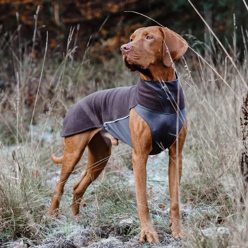 Pomppa Jumppa 6 Pomppa Jumppa – Bild 6