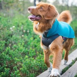 Pomppa Jumppa 13 Pomppa Jumppa -Haustierbedarfs Geschäft pomppa jumppa 190573 0500 none