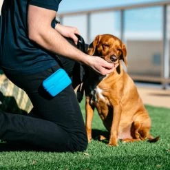 Popware Pooch Pouch Treatbag -Haustierbedarfs Geschäft popware pooch pouch treatbag 164698 0500 none