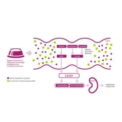 Porus One -Haustierbedarfs Geschäft porus one 134455 0500 none