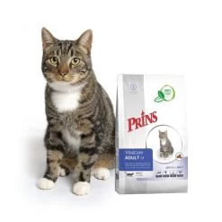 Prins VitalCare Cat Adult Fit -Haustierbedarfs Geschäft prins vitalcare cat adult fit 172291 0500 none
