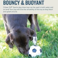 Planet Dog Orbee-Tuff Soccer Ball 11 Planet Dog Orbee-Tuff Soccer Ball -Haustierbedarfs Geschäft prod 14590 203615 0500 none