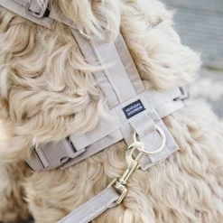 Kentucky Dog Harness Active Velvet -Haustierbedarfs Geschäft prod 15744 218987 0500 none