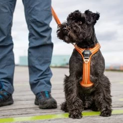 DOG Copenhagen Comfort Walk Air Geschirr -Haustierbedarfs Geschäft prod 15939 220308 0500 none