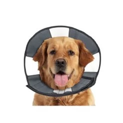 ZenPet Zen Collar 8 ZenPet Zen Collar -Haustierbedarfs Geschäft prod 5332 89025 0500 none