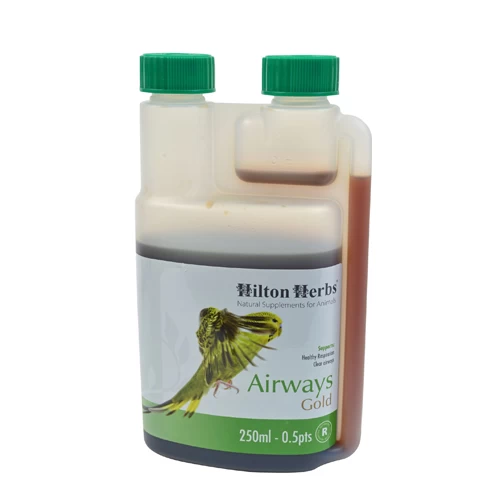 Hilton Herbs Airways Gold For Birds 2 Hilton Herbs Airways Gold For Birds – Bild 2