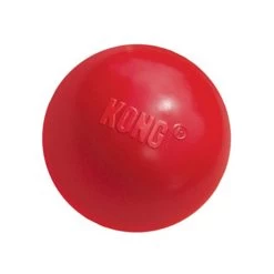 KONG Ball -Haustierbedarfs Geschäft product kong ball none 4 1466058812 69915