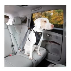 Kurgo Enhanced Tru-Fit Smart Harness -Haustierbedarfs Geschäft product kurgo tru fit smart harness none 4 1476952073 79204