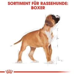 Royal Canin Boxer Puppy - Hundefutter -Haustierbedarfs Geschäft royal canin boxer puppy hondenvoer 137491 0500 none