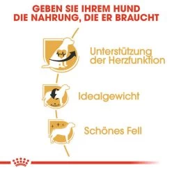 Royal Canin Cavalier King Charles Adult - Hundefutter -Haustierbedarfs Geschäft royal canin cavalier king charles adult hondenvoer 137869 0500 none