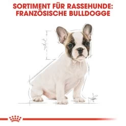 Royal Canin French Bulldog Puppy - Hundefutter -Haustierbedarfs Geschäft royal canin french bulldog puppy hondenvoer 138718 0500 none