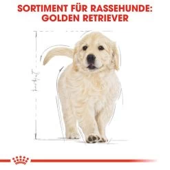 Royal Canin Golden Retriever Puppy - Hundefutter 11 Royal Canin Golden Retriever Puppy - Hundefutter -Haustierbedarfs Geschäft royal canin golden retriever puppy hondenvoer 138958 0500 none