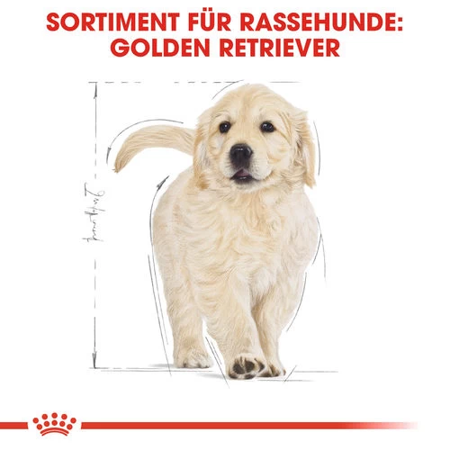Royal Canin Golden Retriever Puppy - Hundefutter 4 Royal Canin Golden Retriever Puppy - Hundefutter – Bild 4
