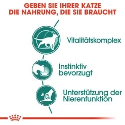 Royal Canin Instinctive 7+ In Gravy - Katzenfutter -Haustierbedarfs Geschäft royal canin instinctive 7 in gravy kattenvoer 127868 0500 none