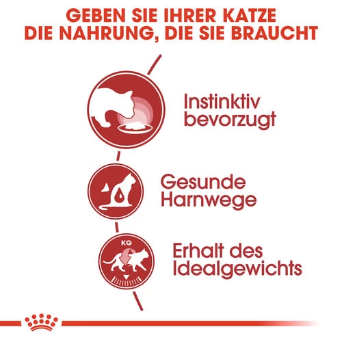 Royal Canin Instinctive In Gelee - Katzenfutter 4 Royal Canin Instinctive In Gelee - Katzenfutter – Bild 4