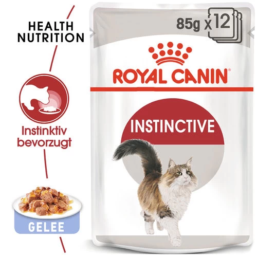 Royal Canin Instinctive In Gelee - Katzenfutter 1 Royal Canin Instinctive In Gelee - Katzenfutter
