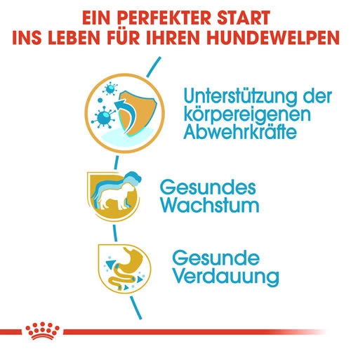 Royal Canin Jack Russell Terrier Puppy - Hundefutter 2 Royal Canin Jack Russell Terrier Puppy - Hundefutter – Bild 2