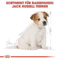 Royal Canin Jack Russell Terrier Puppy - Hundefutter 11 Royal Canin Jack Russell Terrier Puppy - Hundefutter -Haustierbedarfs Geschäft royal canin jack russell terrier puppy hondenvoer 139318 0500 none