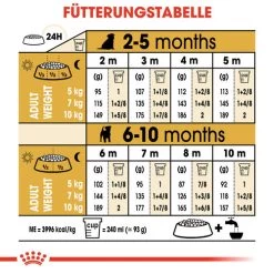 Royal Canin Jack Russell Terrier Puppy - Hundefutter 14 Royal Canin Jack Russell Terrier Puppy - Hundefutter -Haustierbedarfs Geschäft royal canin jack russell terrier puppy hondenvoer 139327 0500 none