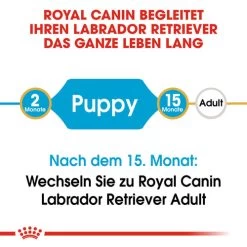 Royal Canin Labrador Retriever Puppy - Hundefutter -Haustierbedarfs Geschäft royal canin labrador retriever puppy hondenvoer 139411 0500 none