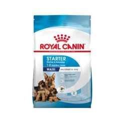 Royal Canin Maxi Starter Mother & Babydog - Hundefutter -Haustierbedarfs Geschäft royal canin maxi starter mother babydog hondenvoer 206831 0500 none