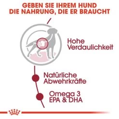 Royal Canin Medium Adult Wet - Hundefutter -Haustierbedarfs Geschäft royal canin medium adult wet hondenvoer 143492 0500 none