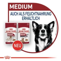 Royal Canin Medium Adult Wet - Hundefutter -Haustierbedarfs Geschäft royal canin medium adult wet hondenvoer 143534 0500 none