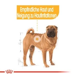 Royal Canin Medium Dermacomfort - Hundefutter -Haustierbedarfs Geschäft royal canin medium dermacomfort hondenvoer 143273 0500 none