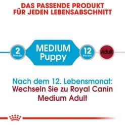 Royal Canin Medium Puppy Wet 12 Royal Canin Medium Puppy Wet -Haustierbedarfs Geschäft royal canin medium puppy wet 129245 0500 none