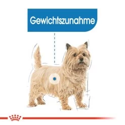 Royal Canin Mini Light Weight Care - Hundefutter -Haustierbedarfs Geschäft royal canin mini light weight care hondenvoer 132725 0500 none