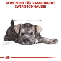 Royal Canin Mini Schnauzer Puppy - Hundefutter -Haustierbedarfs Geschäft royal canin mini schnauzer puppy hondenvoer 140182 0500 none