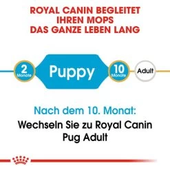 Royal Canin Pug Puppy - Hundefutter -Haustierbedarfs Geschäft royal canin pug puppy hondenvoer 139858 0500 none