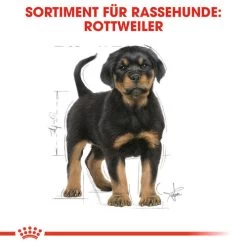 Royal Canin Rottweiler Puppy - Hundefutter -Haustierbedarfs Geschäft royal canin rottweiler puppy hondenvoer 140029 0500 none