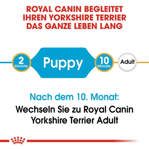 Royal Canin Yorkshire Terrier Puppy - Hundefutter 5 Royal Canin Yorkshire Terrier Puppy - Hundefutter – Bild 5