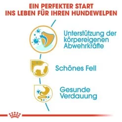 Royal Canin Yorkshire Terrier Puppy - Hundefutter 9 Royal Canin Yorkshire Terrier Puppy - Hundefutter -Haustierbedarfs Geschäft royal canin yorkshire terrier puppy hondenvoer 140795 0500 none