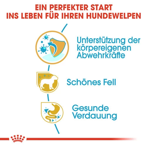 Royal Canin Yorkshire Terrier Puppy - Hundefutter 2 Royal Canin Yorkshire Terrier Puppy - Hundefutter – Bild 2