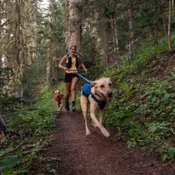 Ruffwear Roamer Leash - Blue Atoll 20 Ruffwear Roamer Leash - Blue Atoll -Haustierbedarfs Geschäft ruffwear roamer leash blue atoll 204797 0500 none