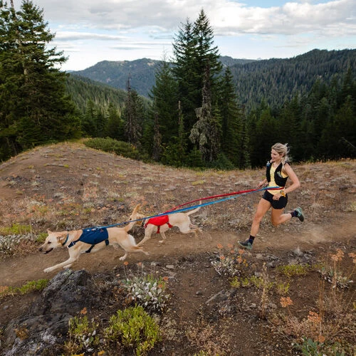 Ruffwear Roamer Leash - Blue Atoll 11 Ruffwear Roamer Leash - Blue Atoll – Bild 11