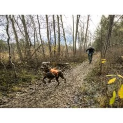 Ruffwear Webmaster Harness -Haustierbedarfs Geschäft ruffwear webmaster harness 217113 0500 none