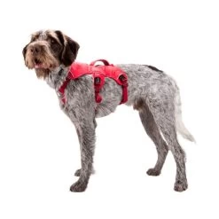 Ruffwear Webmaster Harness -Haustierbedarfs Geschäft ruffwear webmaster harness 88447 0500 none