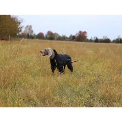 RukkaPets Protect Overall 7 RukkaPets Protect Overall -Haustierbedarfs Geschäft rukkapets protect overall zwart 216401 0500 none